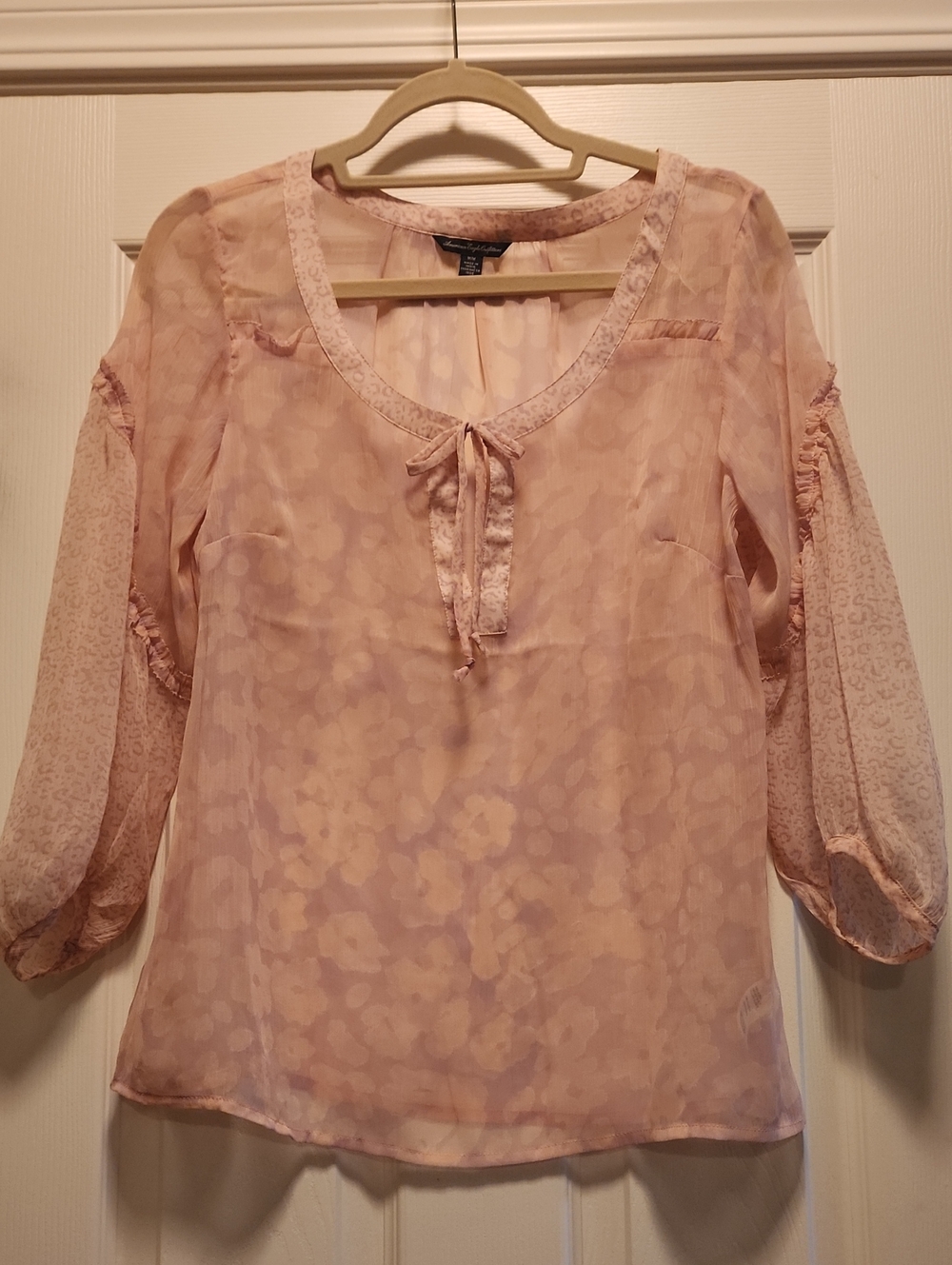 Sheer Pink Tie-Neck Blouse - Women
